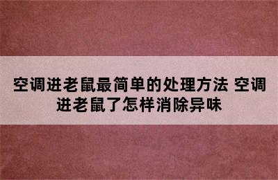 空调进老鼠最简单的处理方法 空调进老鼠了怎样消除异味